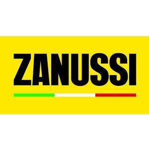 zanussi torino